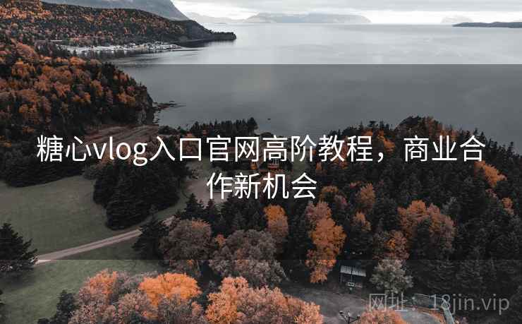 糖心vlog入口官网高阶教程,商业合作新机会
