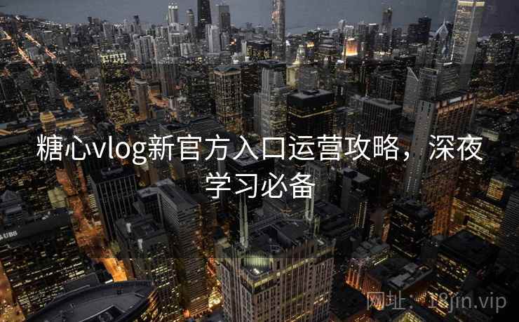 糖心vlog新官方入口运营攻略,深夜学习必备